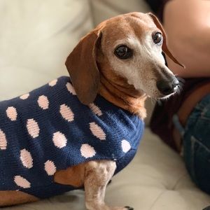 Polka Dot Dog Sweater | Dog Clothes